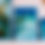 Thumbnail: 4 Piece Collection: Sea Turtle Conservancy