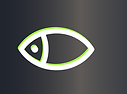 fwf abgetrennte Fische GRAUER BACK04.png