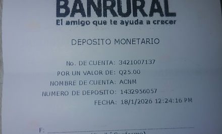 Ejemplo Boleta.jpg