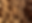 IMG_1081_edited.png