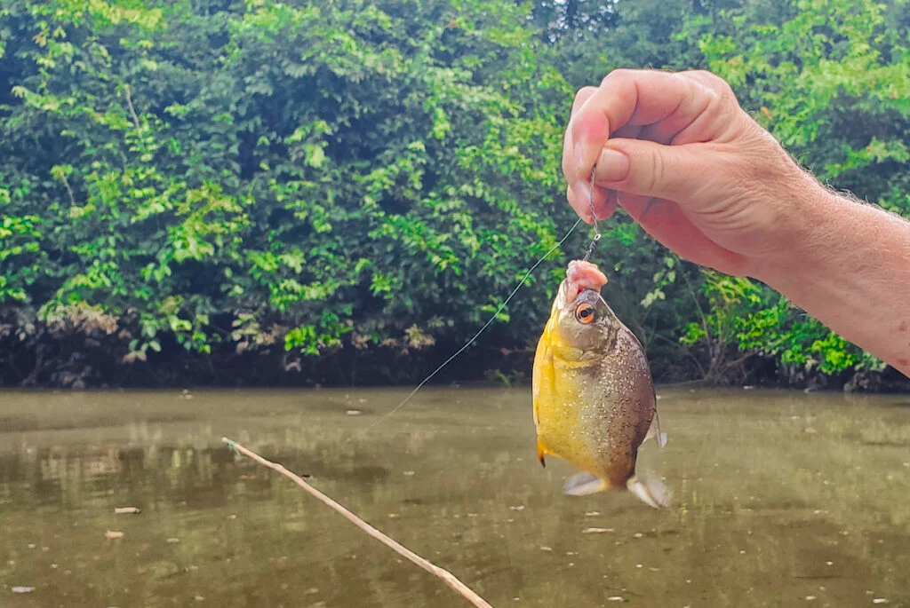 Amazon-in-Peru-6