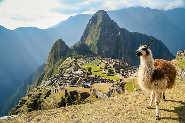ŞİLİ • PERU