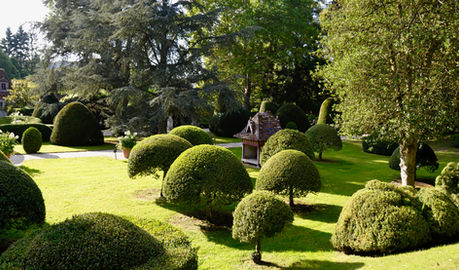 L'art topiaires au château de Boutemont