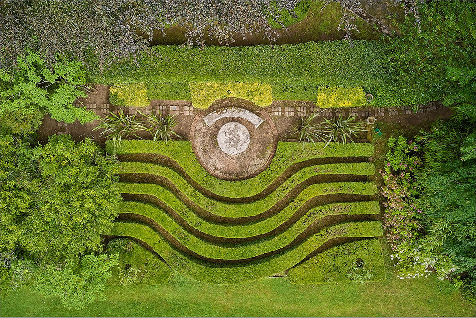 Les topiaires en ondes de buis du Château de Boutemont