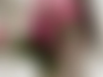 ช่อดอกไม้แทนความรู้สึก ให้กับคนที่คุณรัก