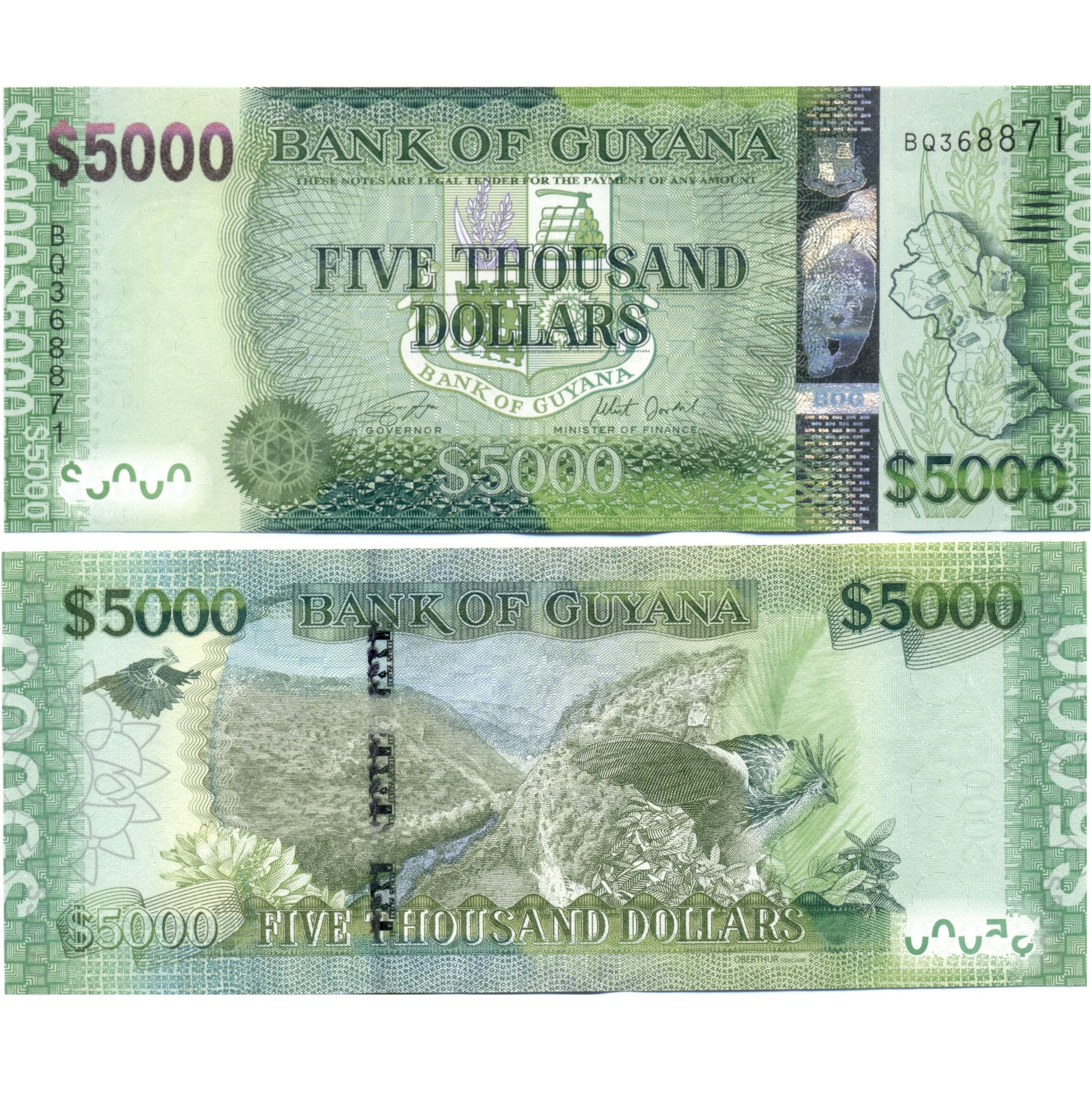 Billete de 5.000 dólares de Guyana,UNC, Joya, sin circular