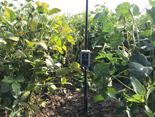 Discover how soil sensors can improve your production and save valuable resources