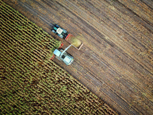 Why is digitalization important in agriculture?