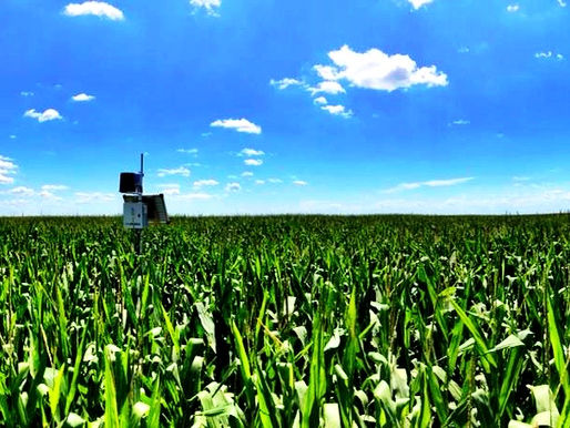 Agricultură Eficientă cu Sysagria: Cum să Utilizezi Senzorul de Direcție a Vântului pentru Protecția Recoltelor