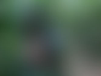 Soluții Inteligente pentru agricultură: Senzorul Temperatură/Umiditate/Electroconductivitate Sol