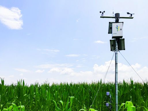 Monitorizarea Avansată a Culturilor: Rolul Senzorului Frunză Electronică