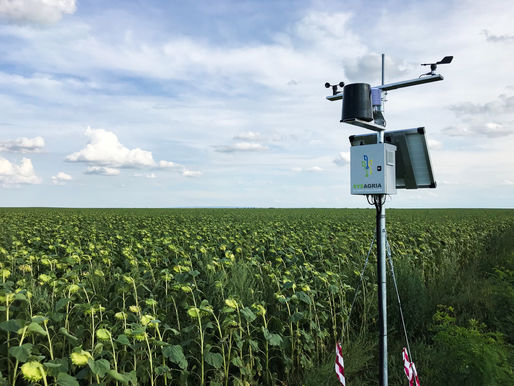 Importanța Senzorului de Măsurare a Temperaturii/Umidității Aerului din cultură