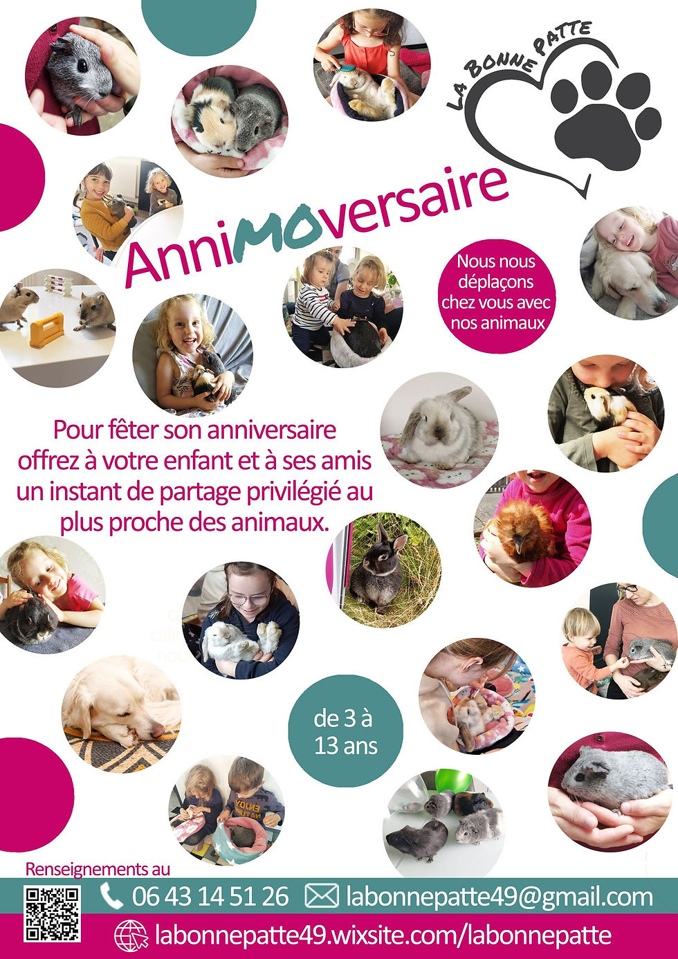 AnniMOversaire : Animations de fêtes d'anniversaires avec des animaux