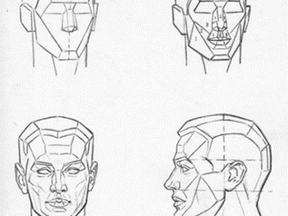 Anatomy of the Head for Artists