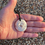 Thumbnail: Koru Porohita