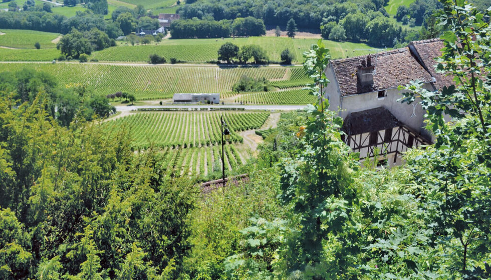 All You Need is Loire