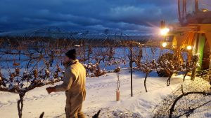 Ice wine, wine tasting, Christmas wine tasting, Christmas wines, Lidl, Lidl wine offers
