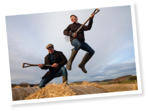 Fizz Feast Taster - Growers Garden Broccoli Crisps