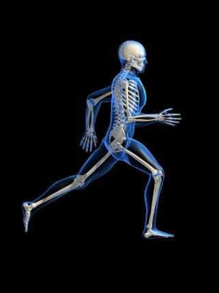 iStock_000003777157XSmall.jpg
