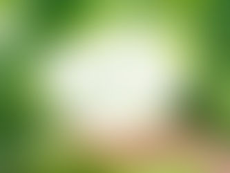 【お知らせ】