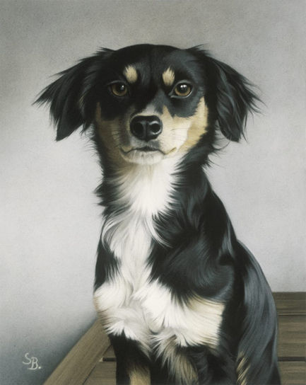 Hundportrait ohne Hintergrund - gemalt von Simone Bingemer