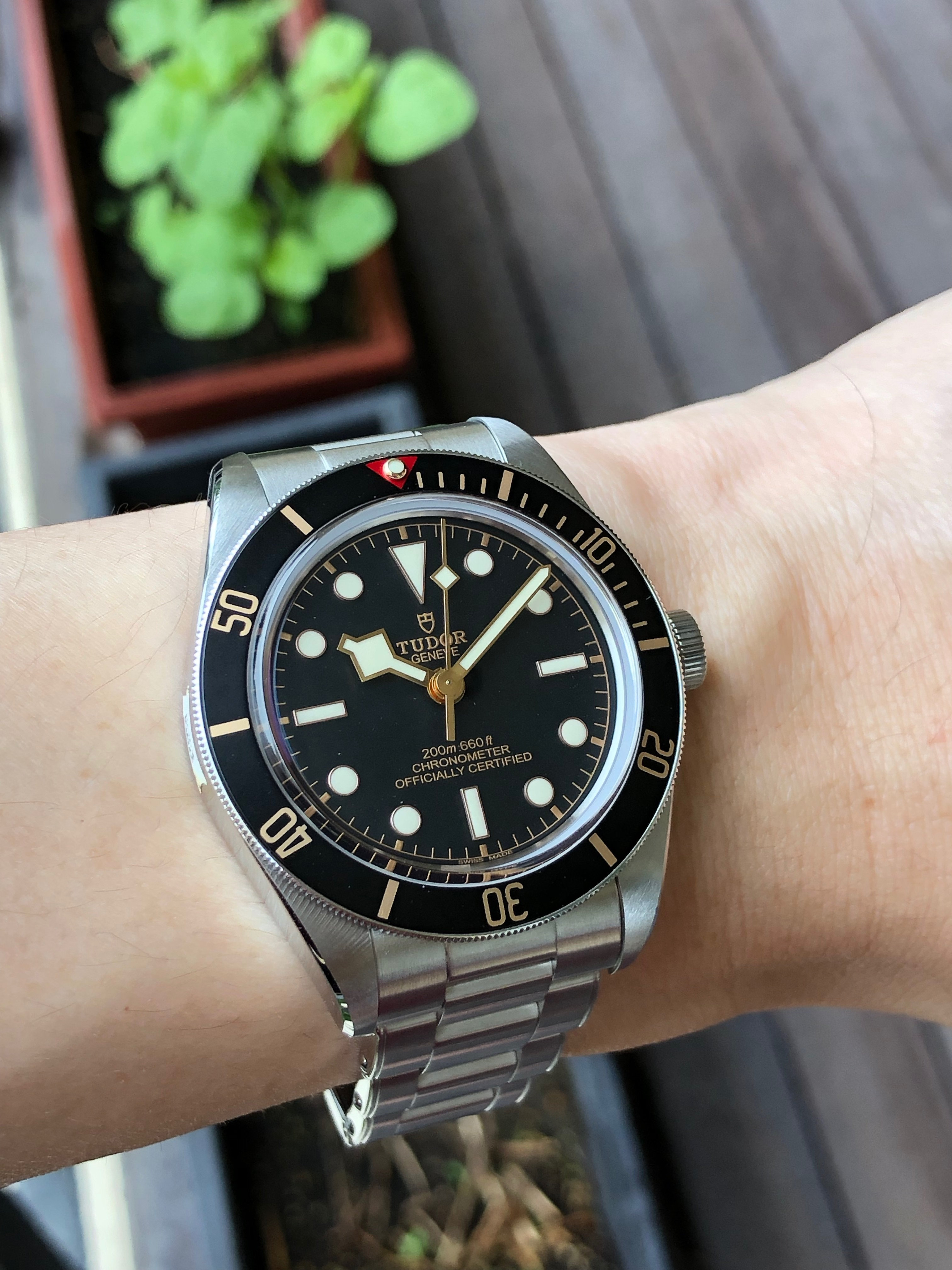 tudor 58 on wrist