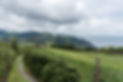 D750_C_5382.jpg