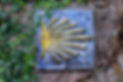 DSCF0487.jpg