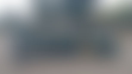 Diamante Energia promove Diálogo Setorial na TF sobre práticas de educação ambiental