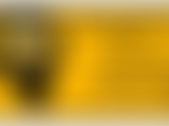 0533 656 30 92