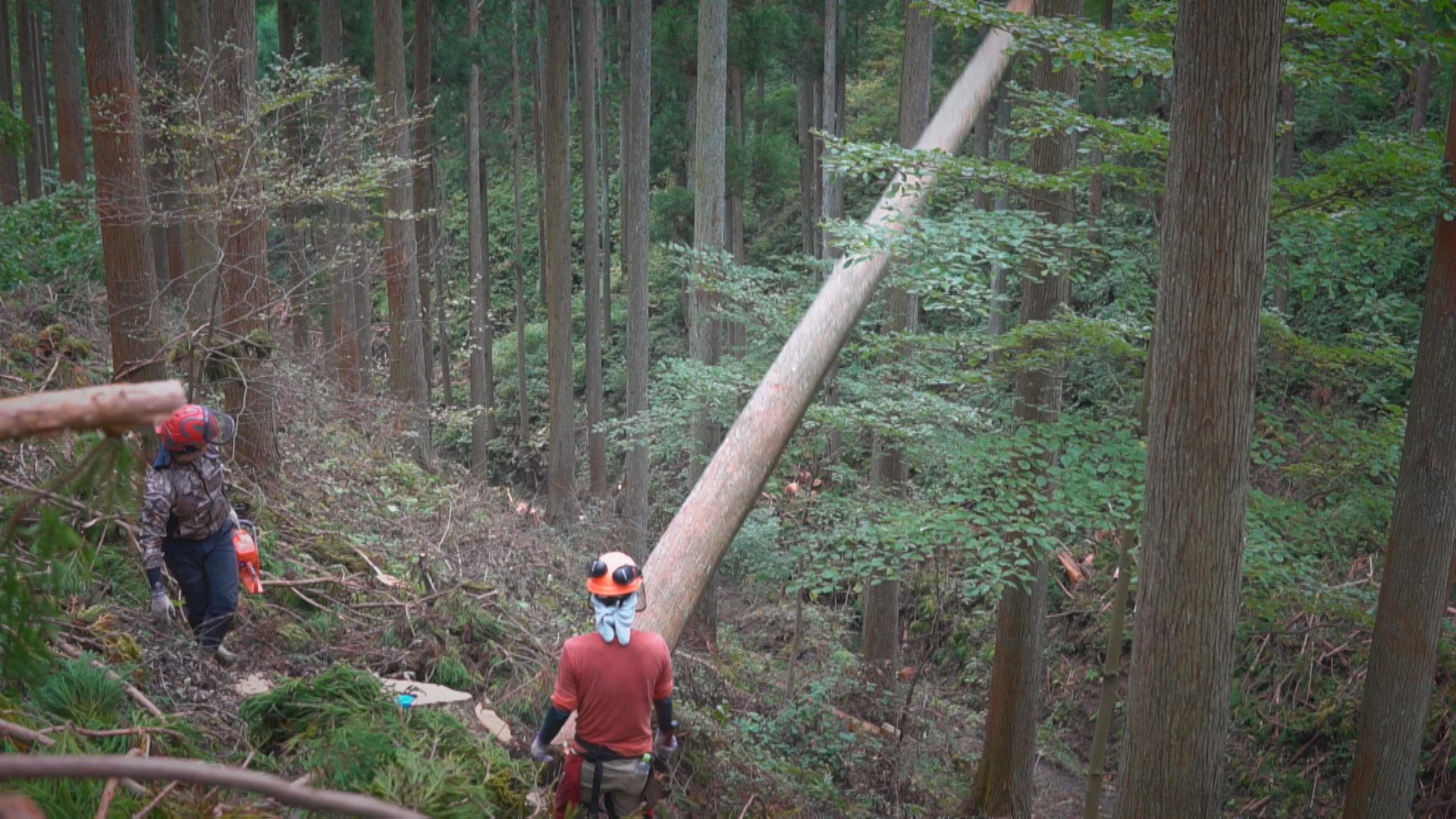 株式会社みのり建築舎 様