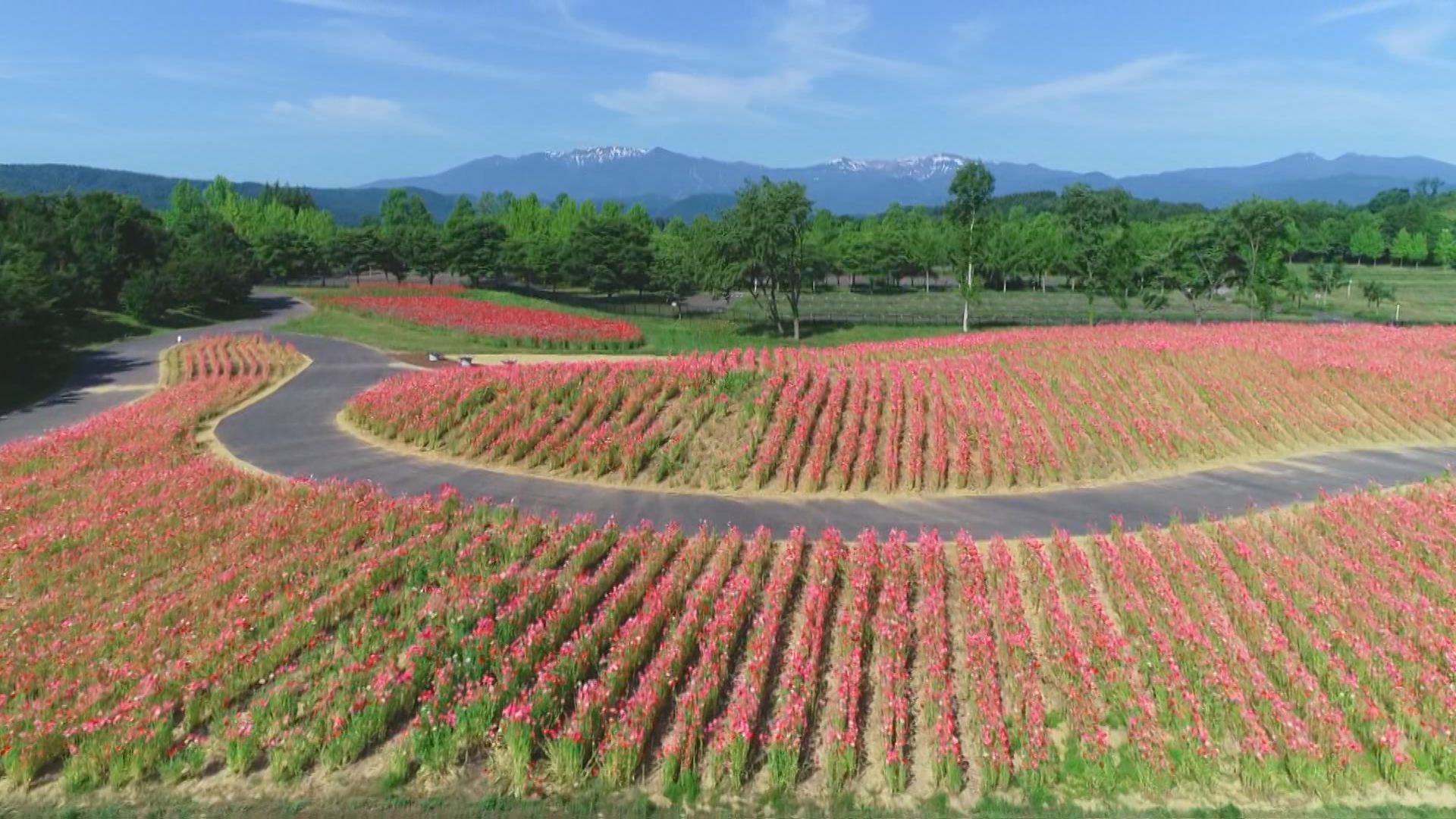 みちのく杜の湖畔公園 様