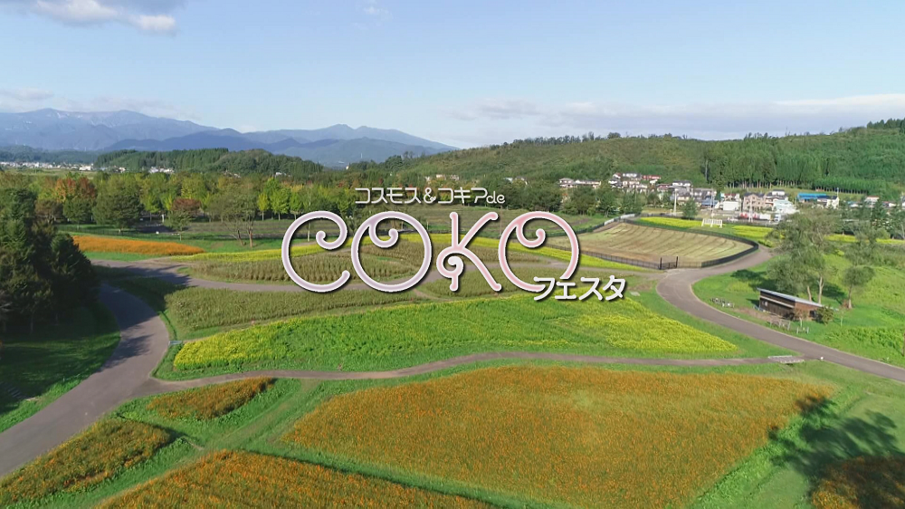 みちのく杜の湖畔公園 様