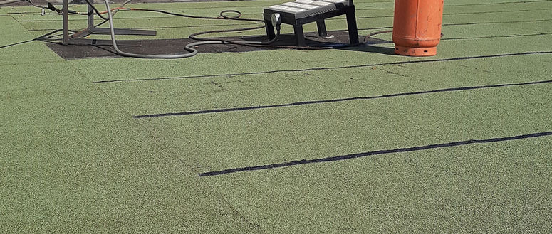 IMG-20191127-WA0013.jpeg