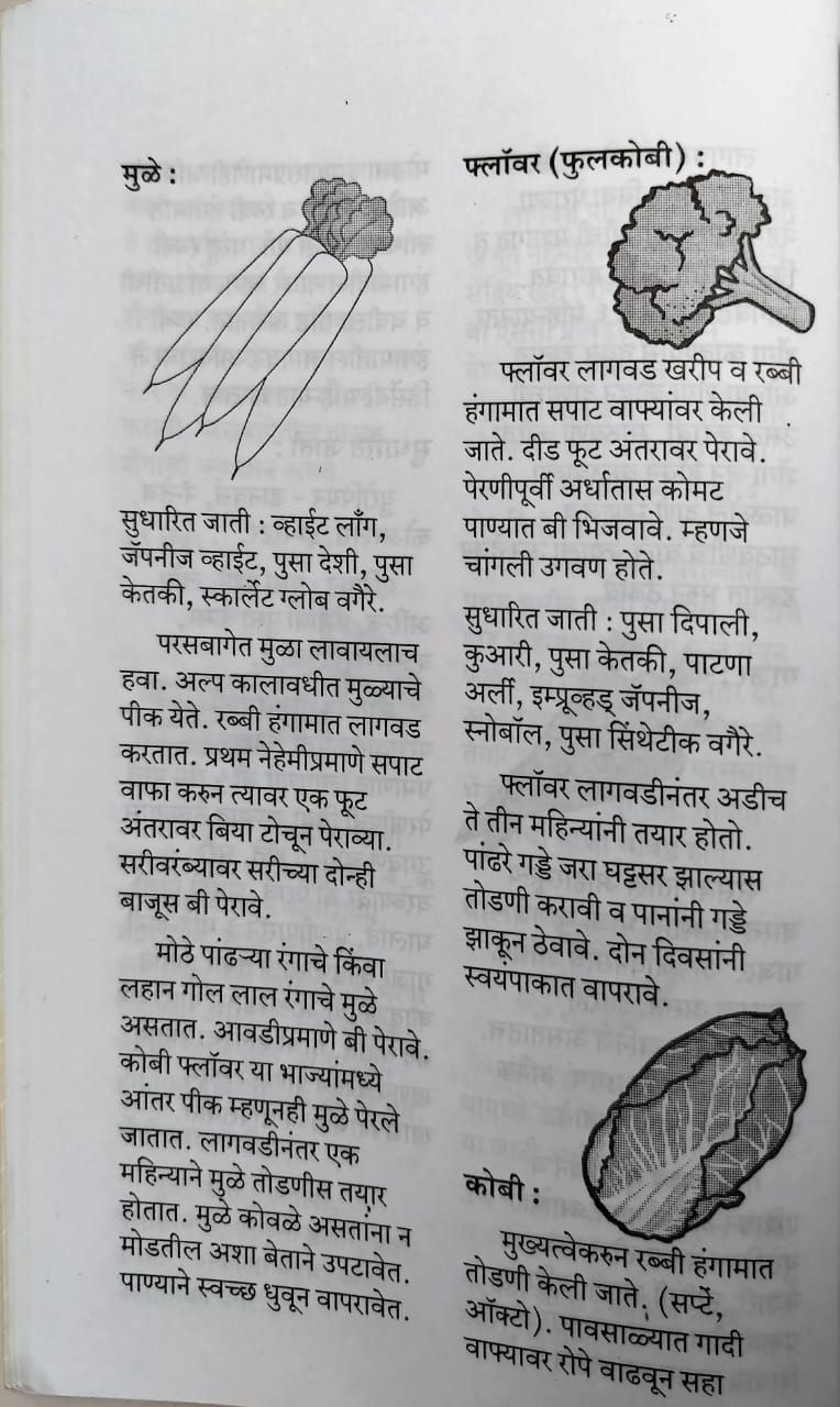 Thumbnail: Aapali Parasbag Kichan Garden(M)-  Dr. Sima Marathe