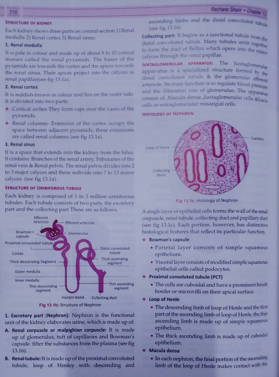 Thumbnail: Textbook of Rachna Sharir [Vol.2] by Dipali Nijwante, Amol Shirbhate