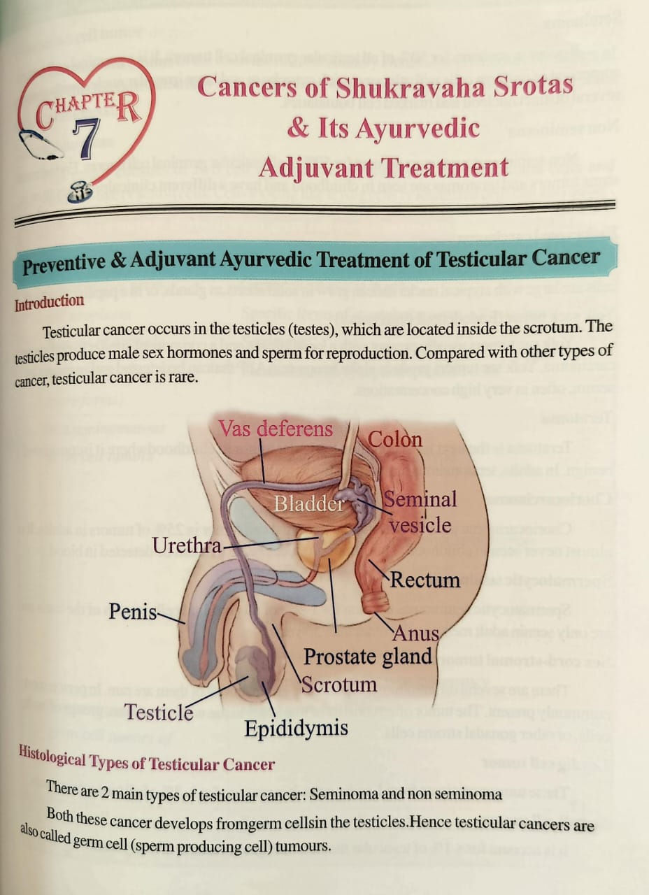 Thumbnail: Preventive and Adjuvant Treatment of Cancer (English)- Dr. Sharad Porte