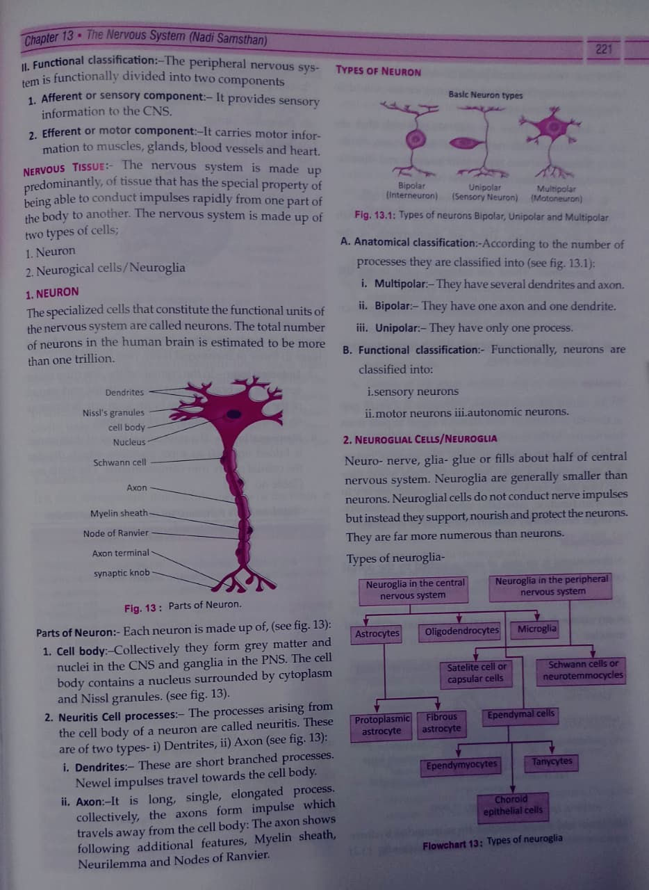 Thumbnail: Textbook of Rachna Sharir [Vol.1] by Dipali Nijwante, Amol Shirbhate