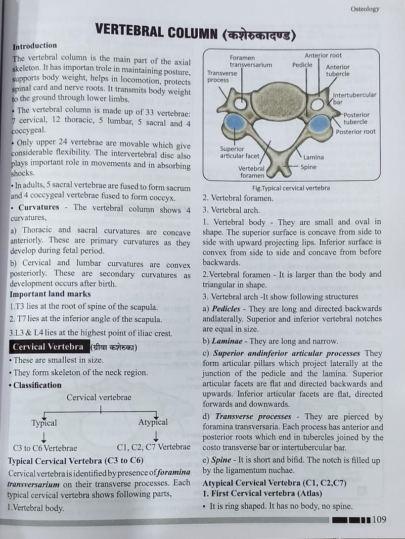 Thumbnail: Textbook of Rachana Sharir Vol 1&2 (E)- Dr. Pratibha Shimpi, Dr. D. Choudhari