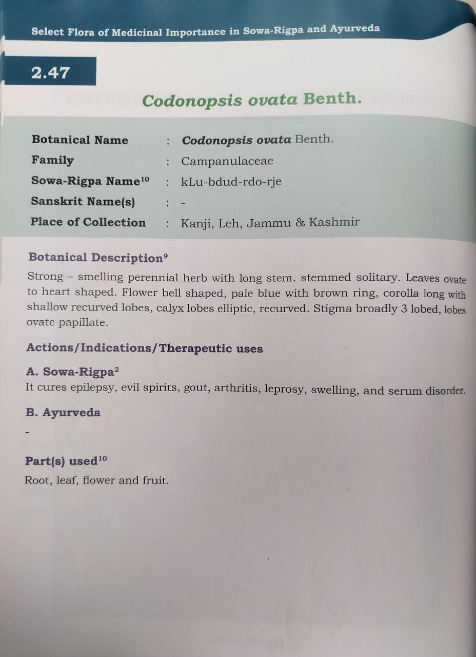 Thumbnail: Select Flora of Medicinal Importance in Sowa-Rigpa and Ayurveda