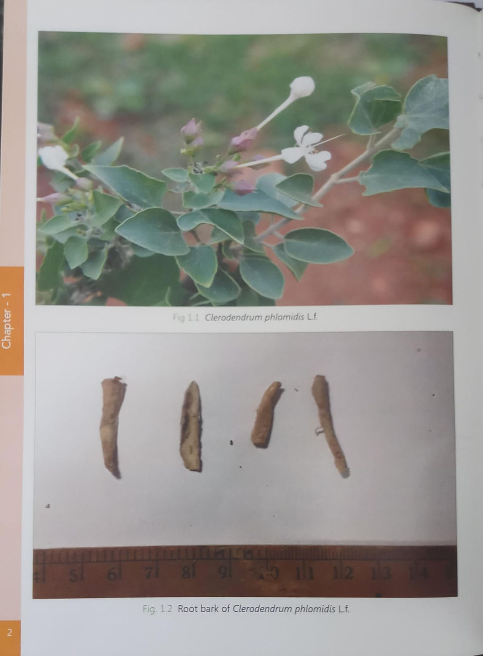 Thumbnail: Quality Standard Of Selected Medicinal Plants(E) By N. Srikanth