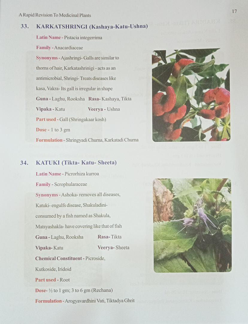 Thumbnail: A Rapid Revision To Plants By Dr. Shivkanya Sharma
