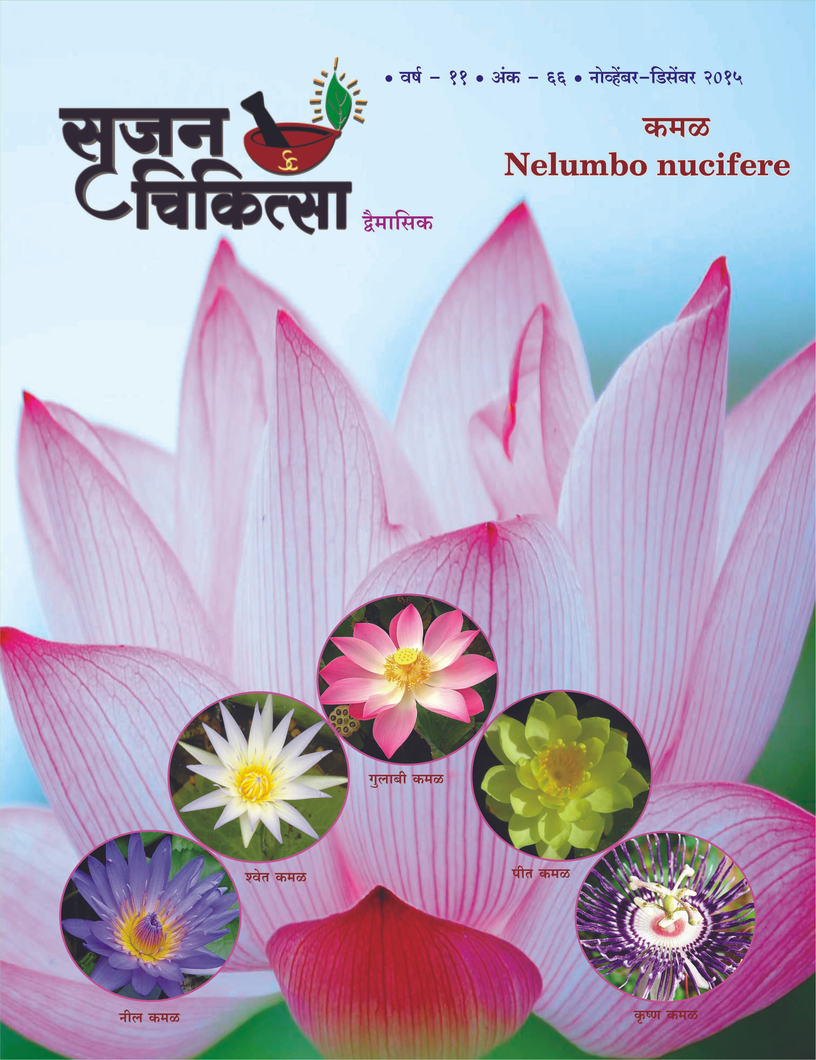 S.C. Nov.-Dec. 2015 M-66