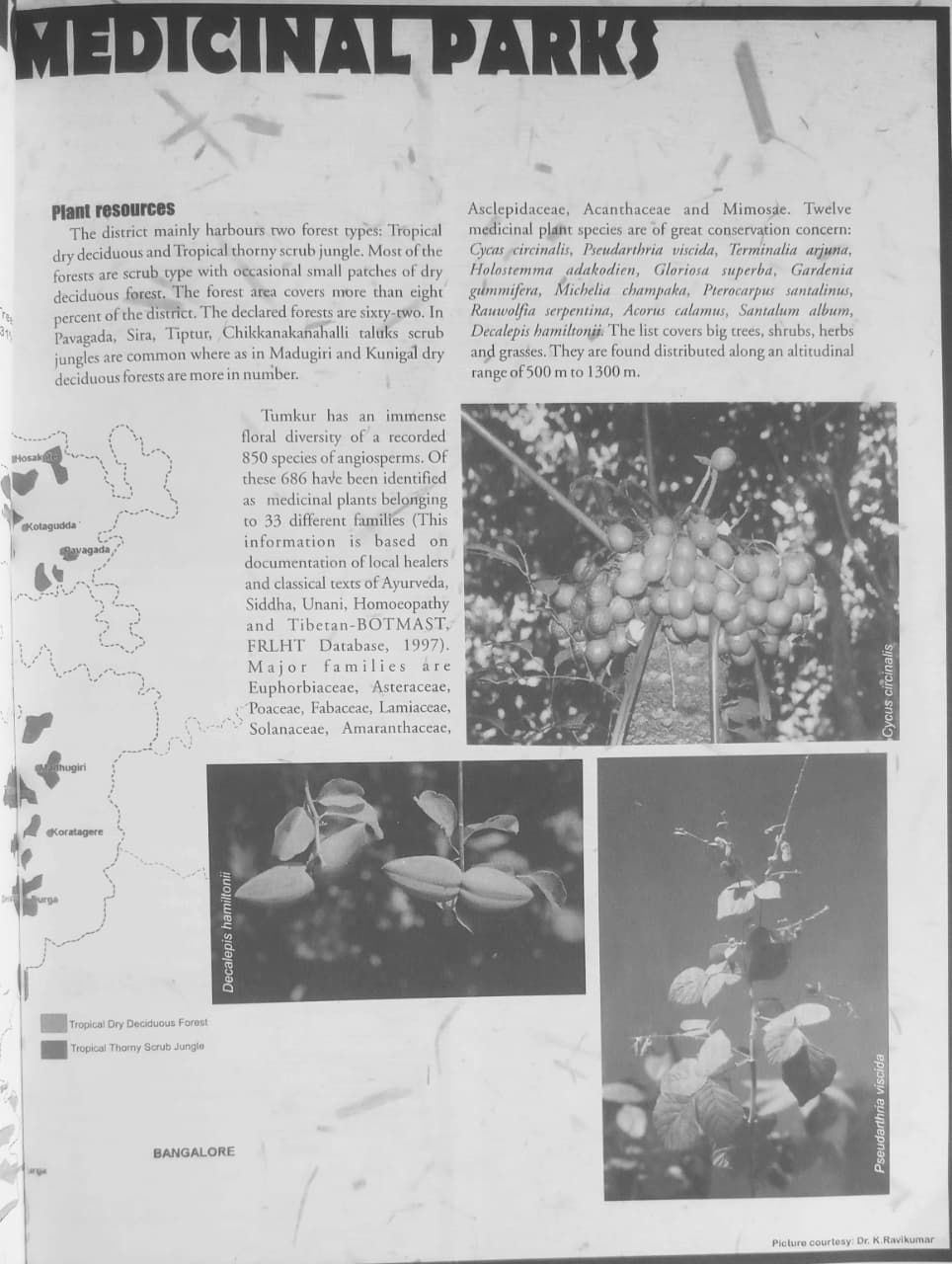 Thumbnail: Ethno Medicinal Parks Supplement October-November 2001