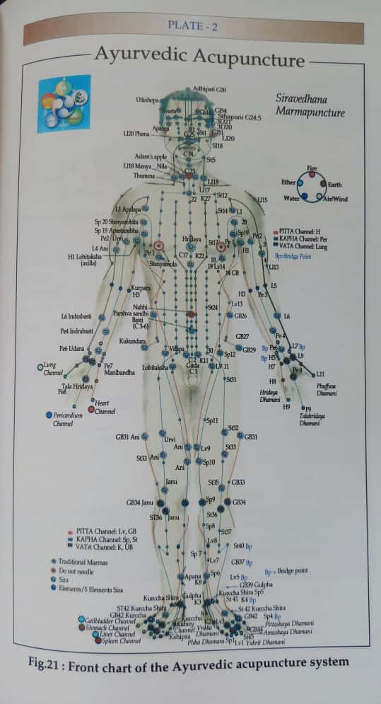 Thumbnail: Ayurveda & Accupuncture (Theory and Practice of Ayurvedic Acupuncture)
