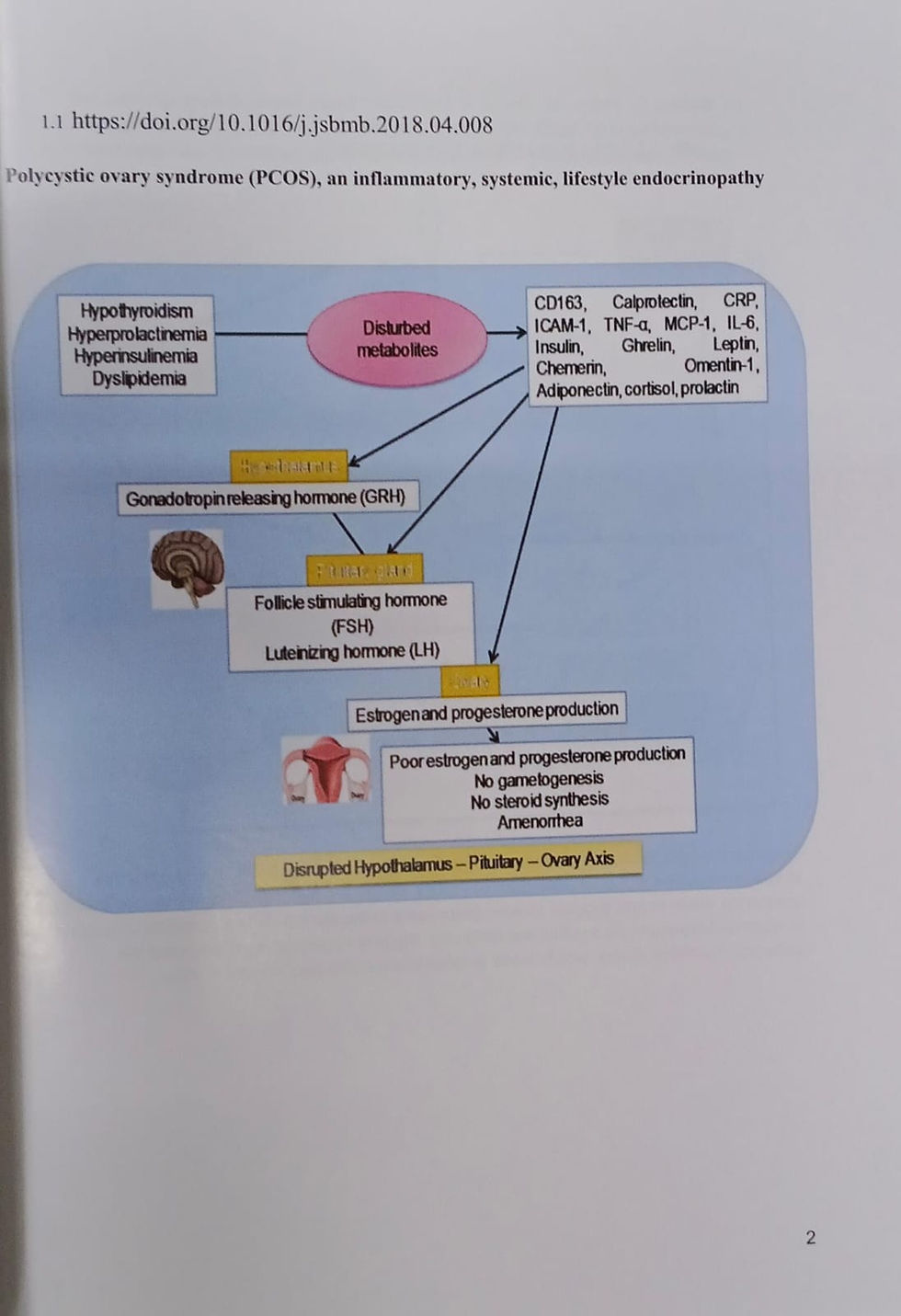 Thumbnail: Interactive Workshop on PCOS, PCOD & Infertility  ( E )