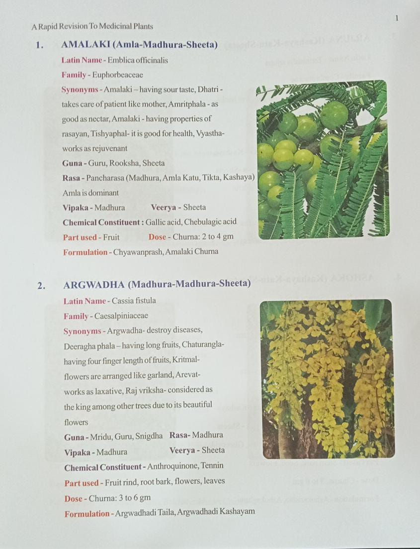 Thumbnail: A Rapid Revision To Plants By Dr. Shivkanya Sharma