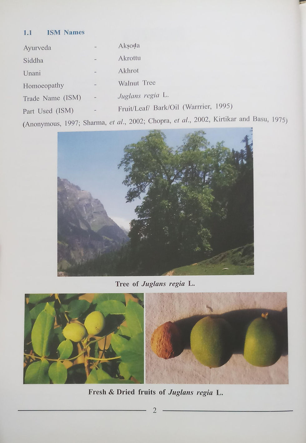Thumbnail: Comprehensive Technical Dossier(CTD)- of Medicinal Plant Used in Ayurveda Aksoda