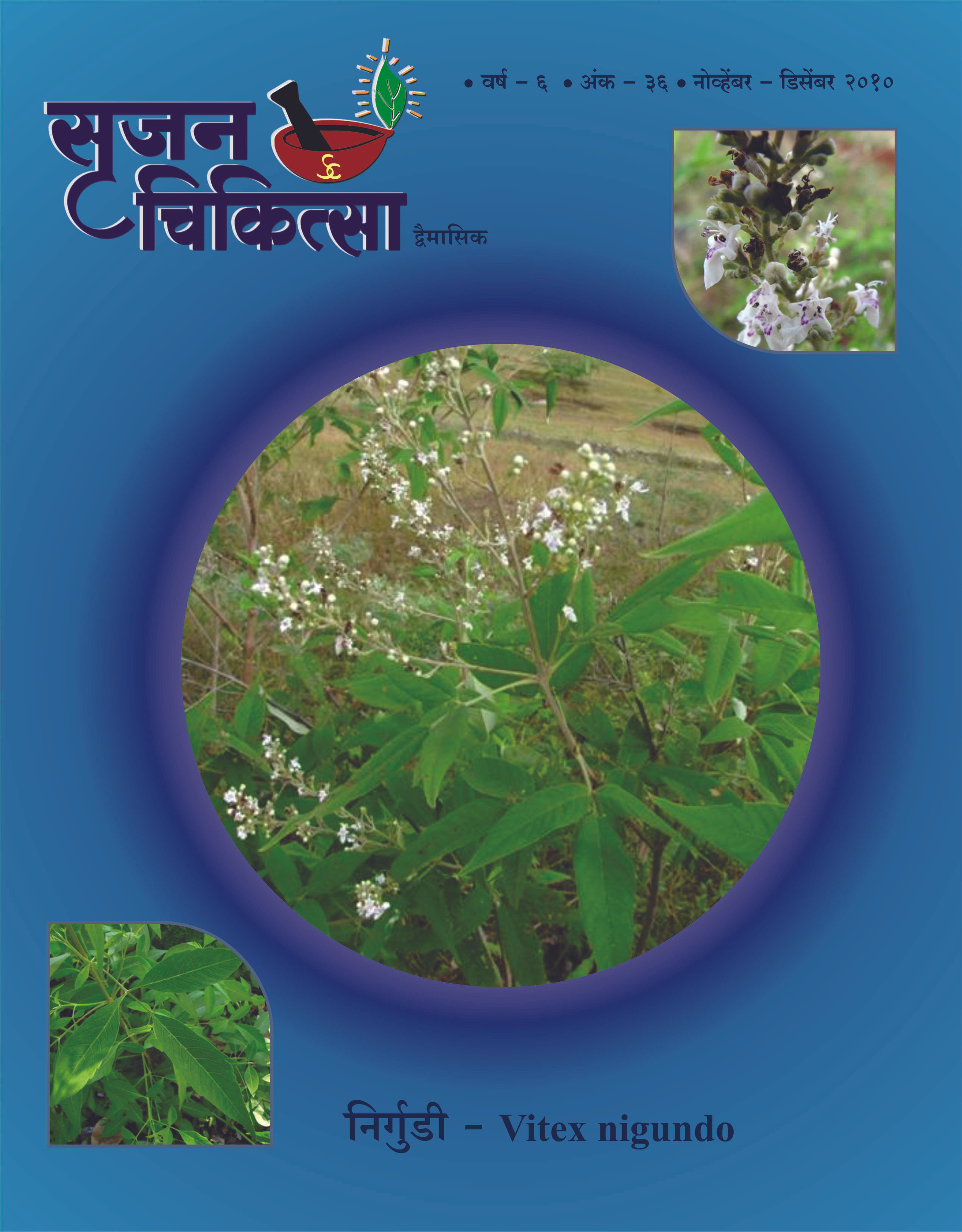 S.C. Nov.-Dec. 2010 M-36