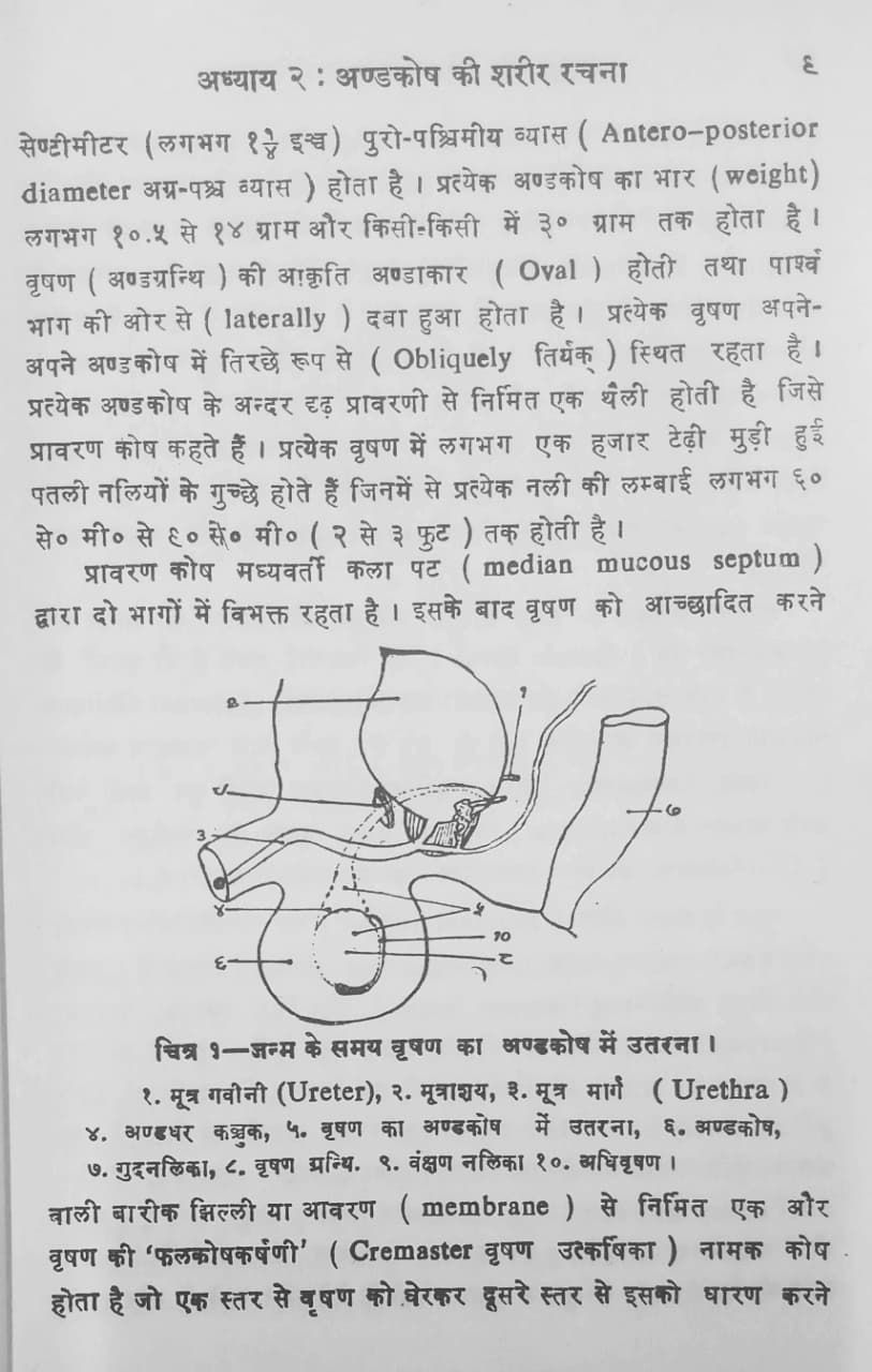 Thumbnail: Haidrosil & Hernia Operation (H) by Dr. Maheshwar Prasad